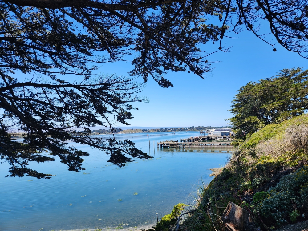 Bodega Bay Isnt What It Used To Be. How an Ailing Industry Has Transformed This Fishing Village