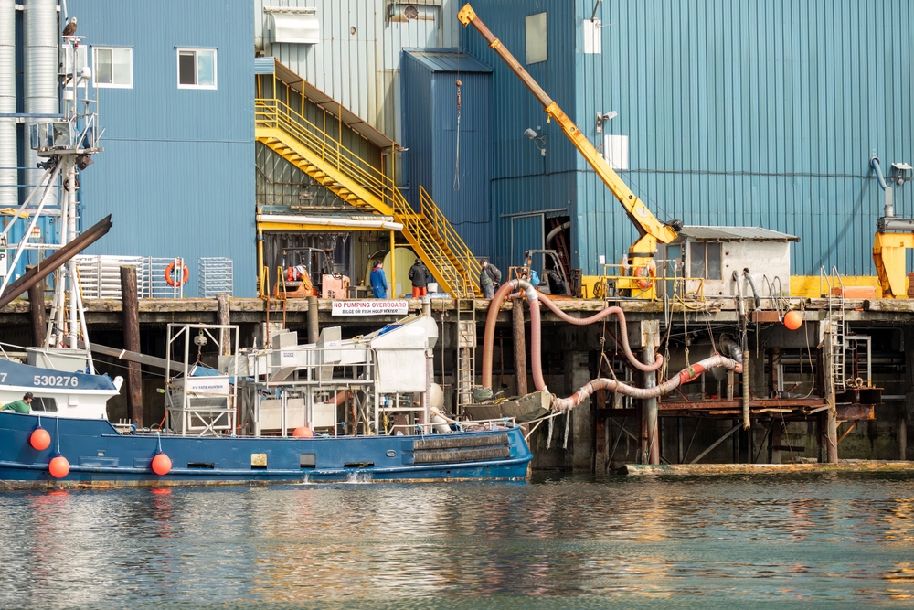 Kodiak Management Area Salmon Rundown