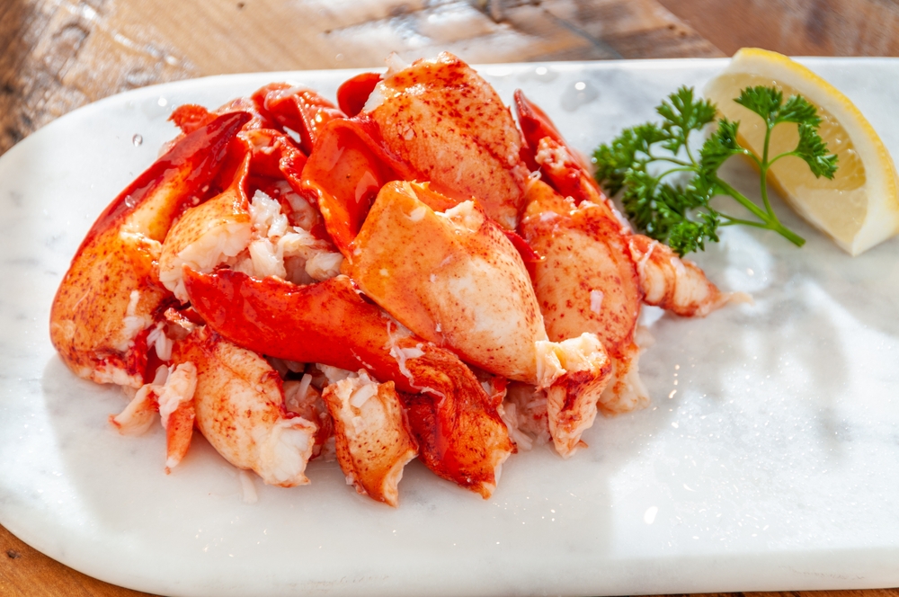 Maine Business Groups Say Trump’s Work Permit Restrictions Will Hurt State’s Economy