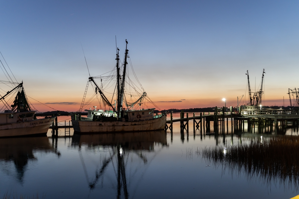 Chasing Wild Shrimp in St. Helena Sound and Niche Markets as Imports Face Scrutiny