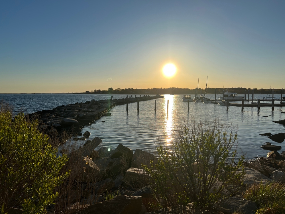 Person Reported Missing from Fishing Vessel at Stonington Town Dock Found Dead: Police
