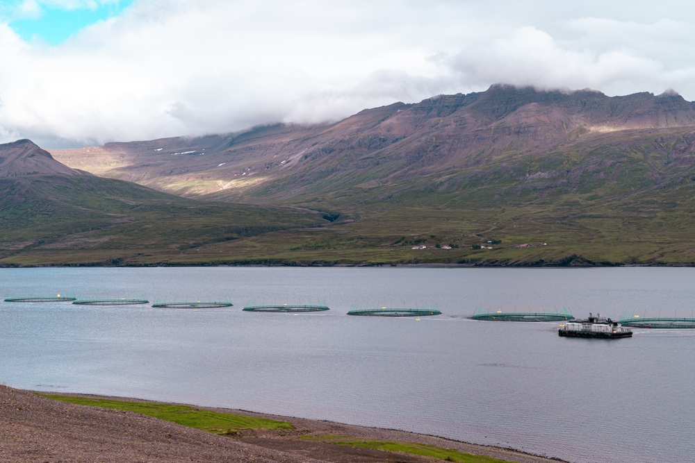 Iceland Seafood Q1 Profit More Than Doubles as Sales Rise 22%