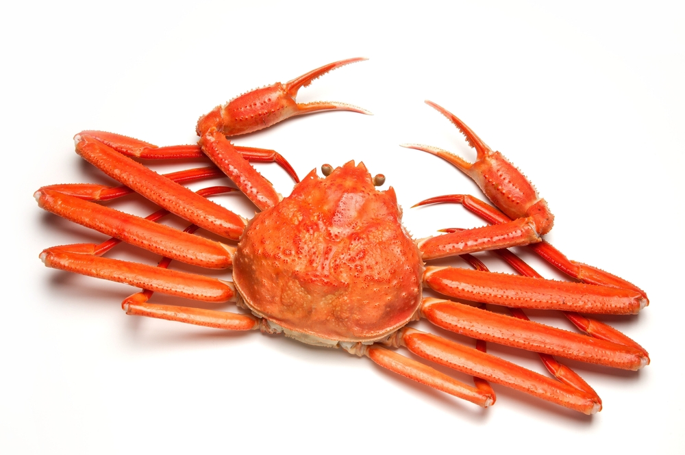 2024 Snow Crab Landings Update For NL, Gulf and Maritimes Region As of May 10