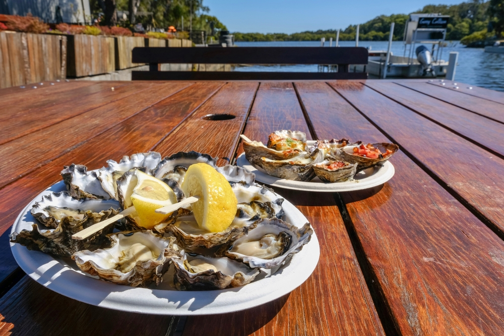 How Eating Oysters Could Help Restore South Australia’s Algal-Bloom Ravaged Coast