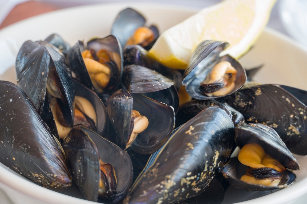 Spanish Mussels Producer Requests Reorganization to Avoid Bankruptcy