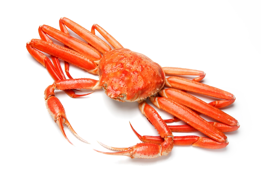 2024 Snow Crab Landings Update For NL, Gulf and Maritimes Region As of May 6