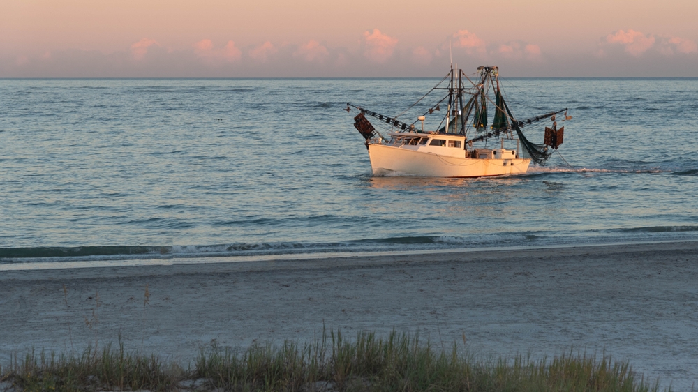 North Carolina Senate Votes to Ban Shrimp Trawling in Sounds, Angering Some Coastal Republicans