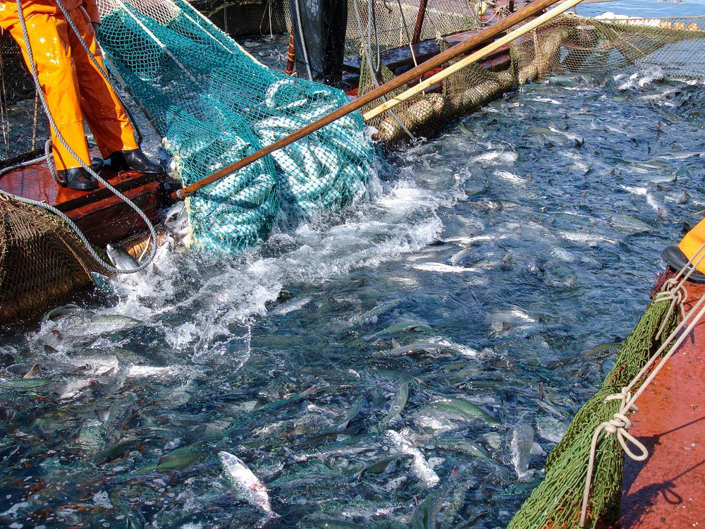 EU, Mediterranean Nations Back New 2027 Pact to Rebuild Fish Stocks