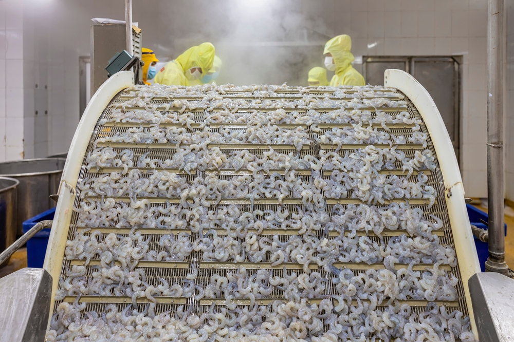 Việt Nams Top 10 Seafood Exporters Command Nearly One-Fifth of Industry Revenue