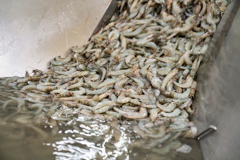 US Department of Commerce Issues Final Antidumping Duty Results for Thai and Vietnamese Shrimp