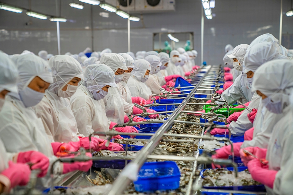 Three Major Powers Pour Money into Vietnam’s Seafood in 2025