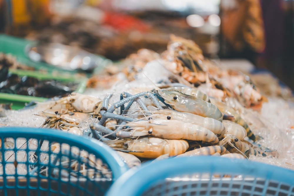 Thailand to Host 25th Global Seafood Alliance Responsible Seafood Summit