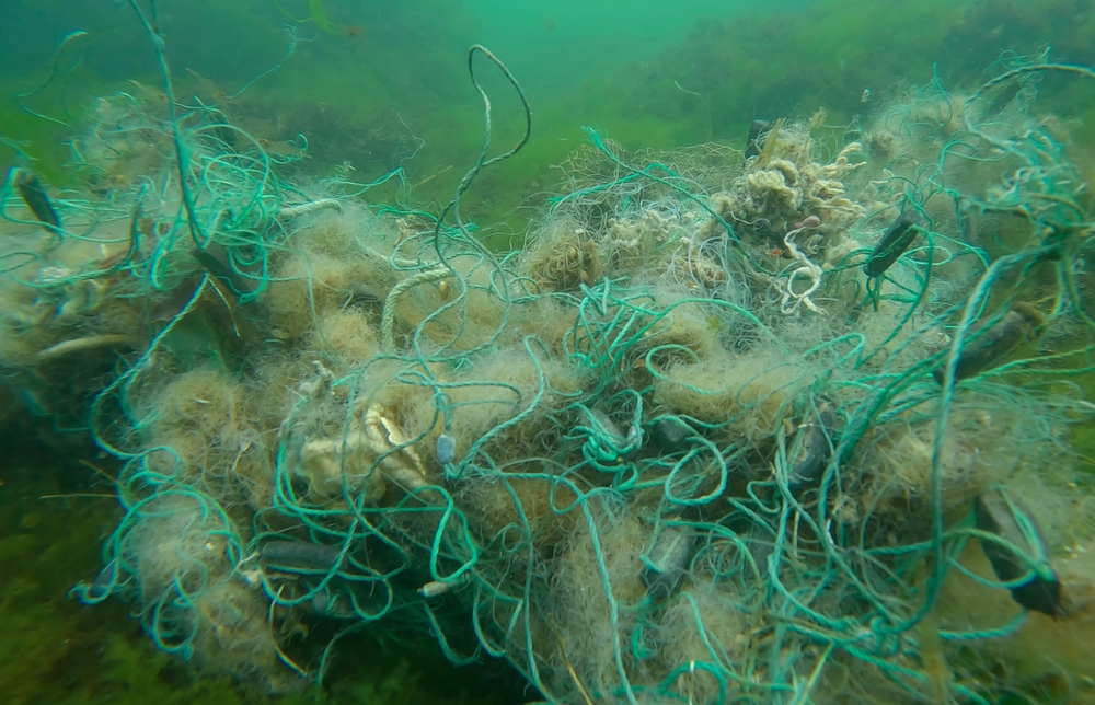 Norway Targets Lost Fishing Gear in Annual Ocean Cleanup