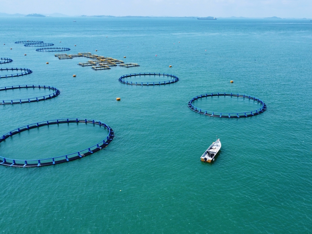 New Owners to Revive Fish Farms Vacated by Troubled Apollo, Barramundi Groups