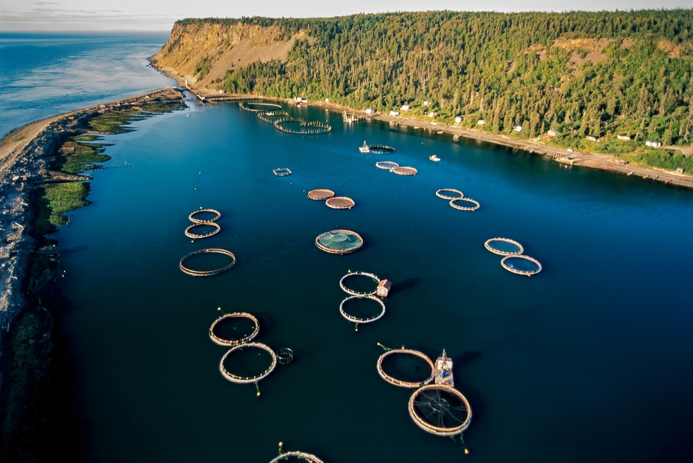 Canada Seafood Farmers Push for Aquaculture Growth in Next Agriculture Policy Framework