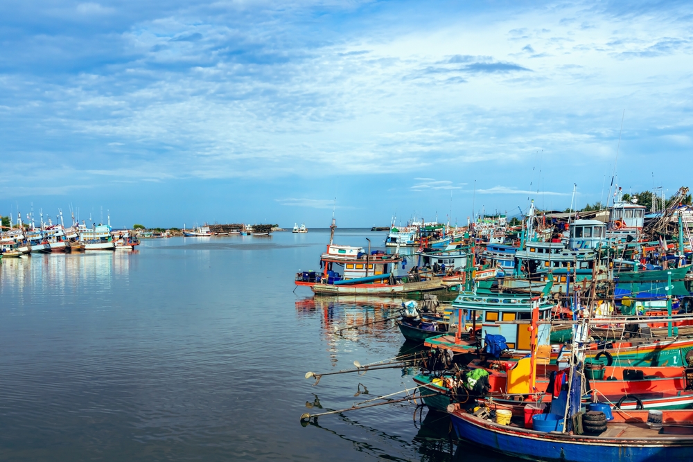 SFP Joins Regional Partners in Launching GoTFish Project