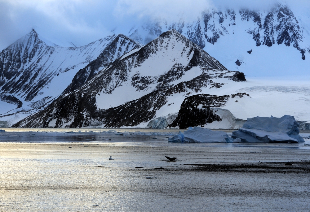 With Last Research Ship Gone, US to Lose Ground in Antarctica, Scientists Say