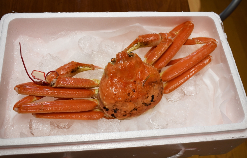 Russian Snow Crab Weakens to $21.50/kg at the Third Busan Auction