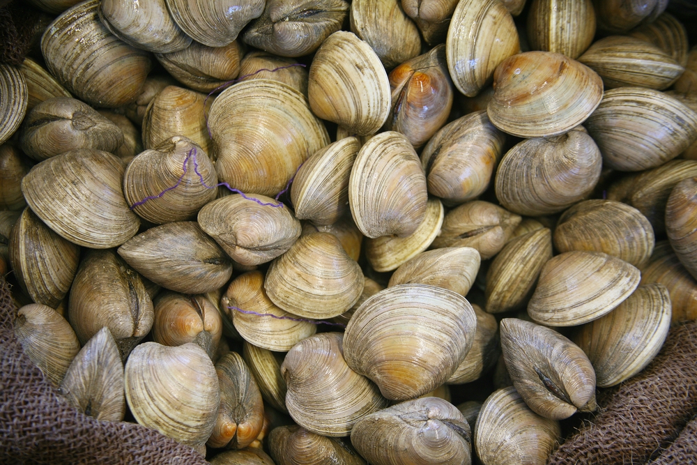 Paralytic Shellfish Poisoning Moves Beyond Alaskas Shoreline