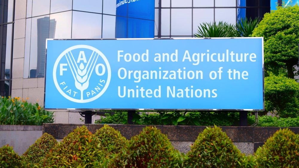 Food Prices Fell in September, United Nations FAO Says
