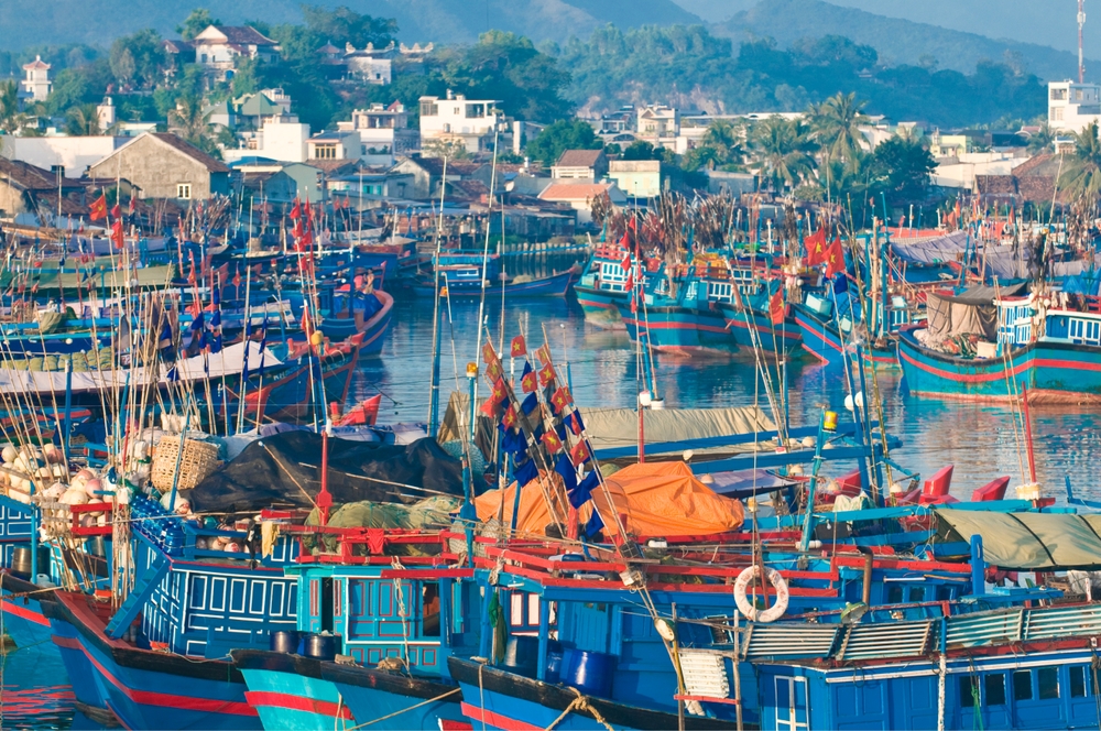 Vietnam Government Pushes Stronger Data Integration to Tighten IUU Fishing Controls