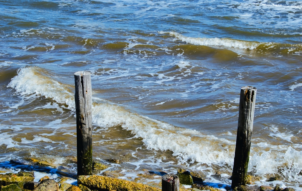 Battle for the Chesapeake Bay