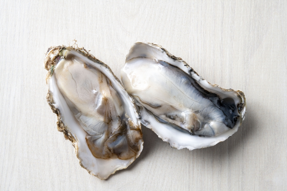 Hiroshimas Oyster Production Devastated with as Much as 90% Mortality