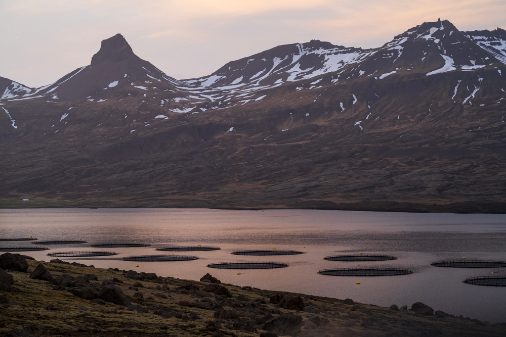 Kaldvik Appoint Interim CFO