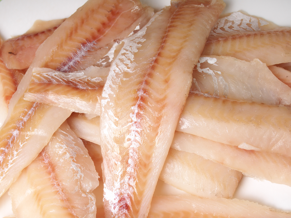 Russian Government Approves Concessions for Domestic Pollock Producers