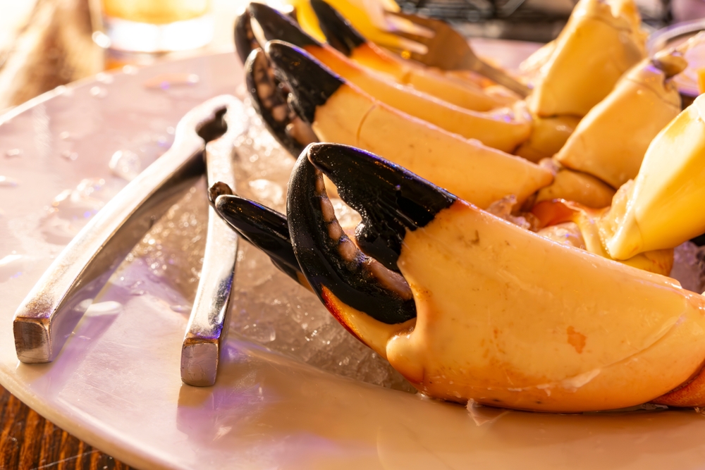 Cortez Readies for Stone Crab Delicacy