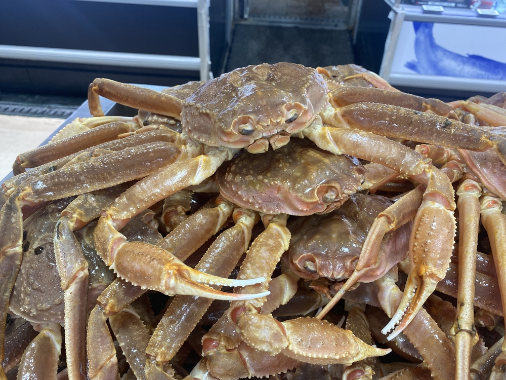 DFO Says NL Snow Crab Fishery in Good Shape, But Cautious on Long-Term Outlook as Season Draws Near