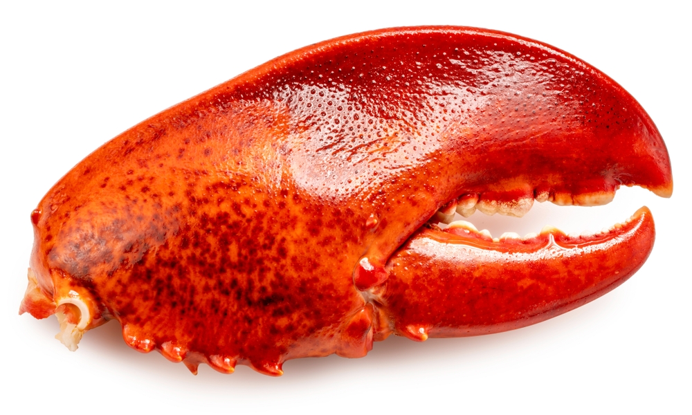 P.E.I. Fish Plant Seeks Review After Application to Hire Temporary Foreign Workers Denied