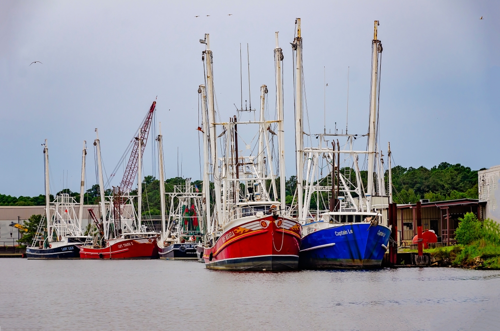 Eat Alabama Seafood Program Finds New Home in Local Nonprofit Sweet Grown Alabama