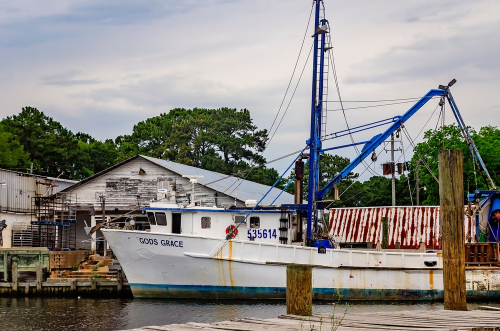 Alabama State Waters Temporarily Close for Shrimping