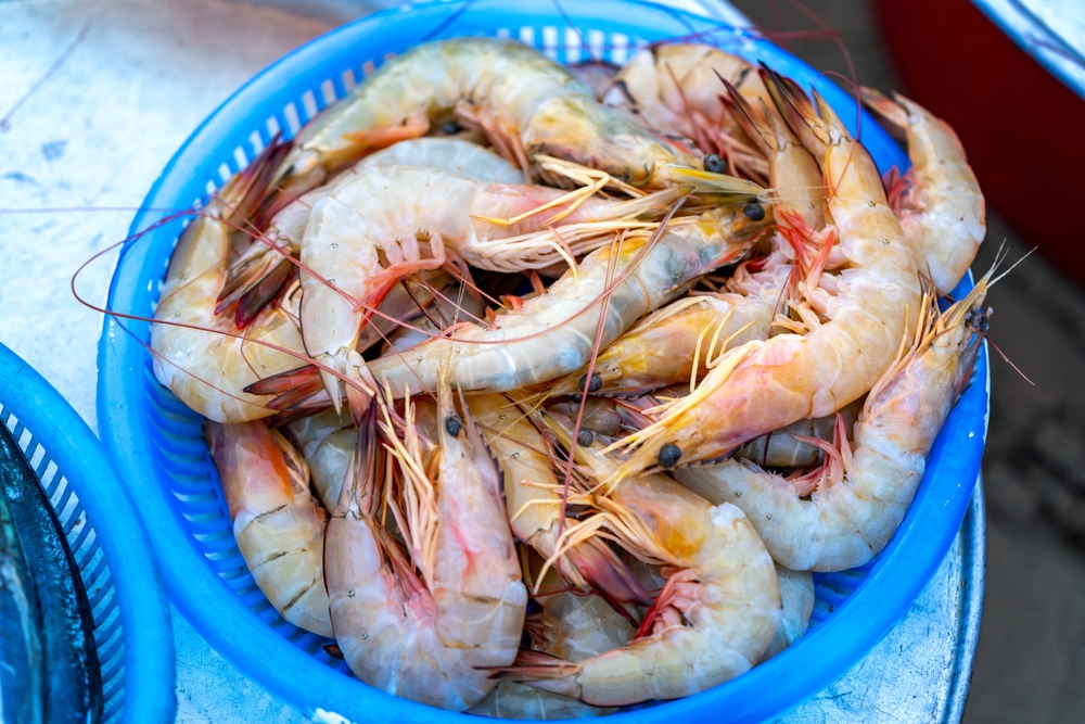 Vietnams Antibiotic Rule Gap Blocks Domestic Sales of Export-Quality Seafood