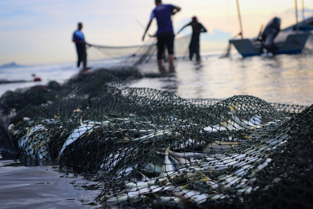 North Carolina: Carteret Community College Offers Commercial Fishing Academy