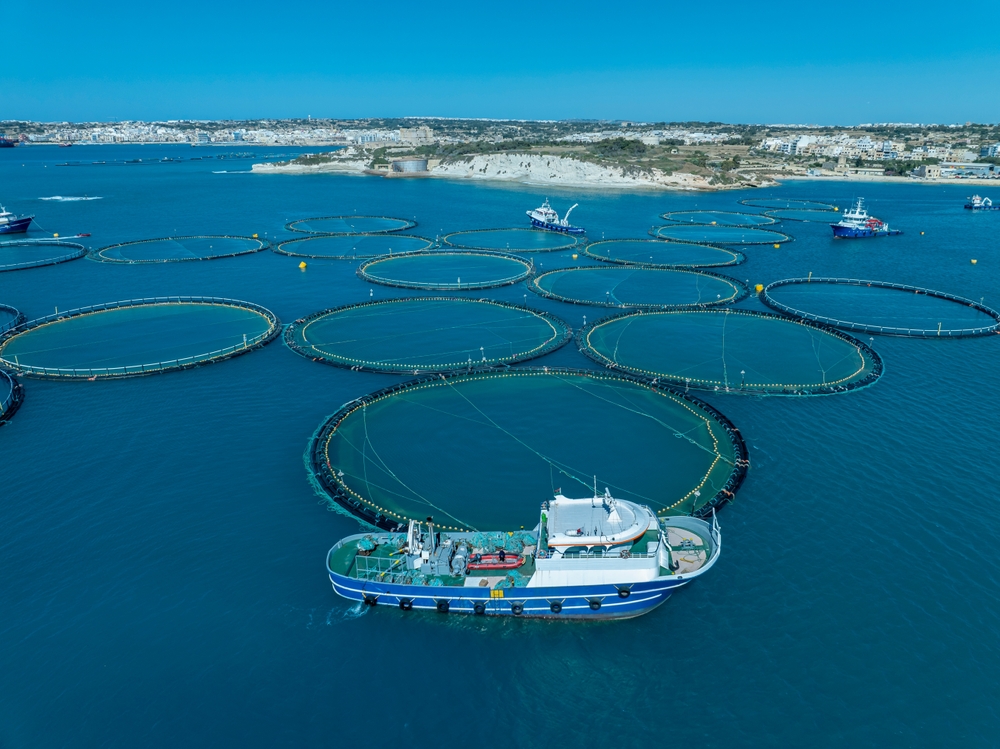 AquaVision 2026 – Guiding Aquaculture Through Change