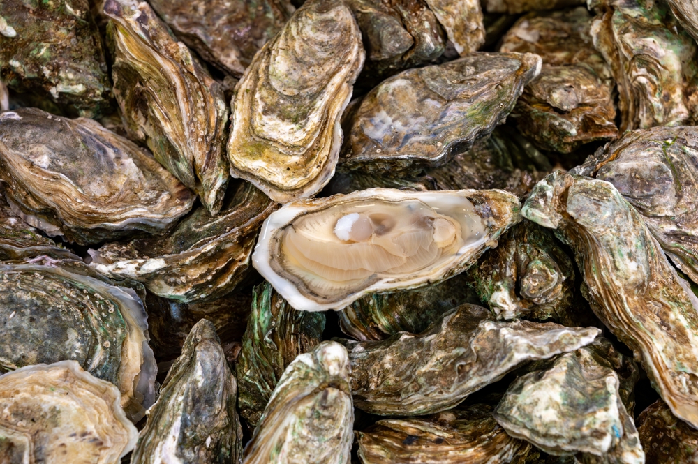 An Eighth-Generation Oyster Farmer Sees Hope in Britain’s Trade Deal