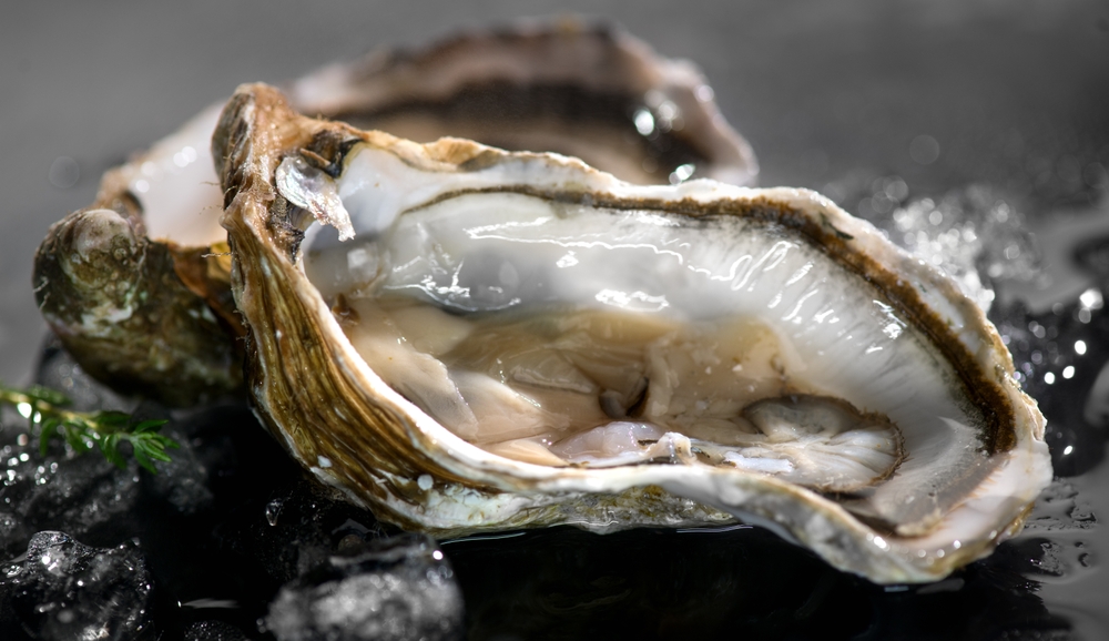 Canadian Government Announces Funding To Support PEI Oyster Industry After MSX Outbreak