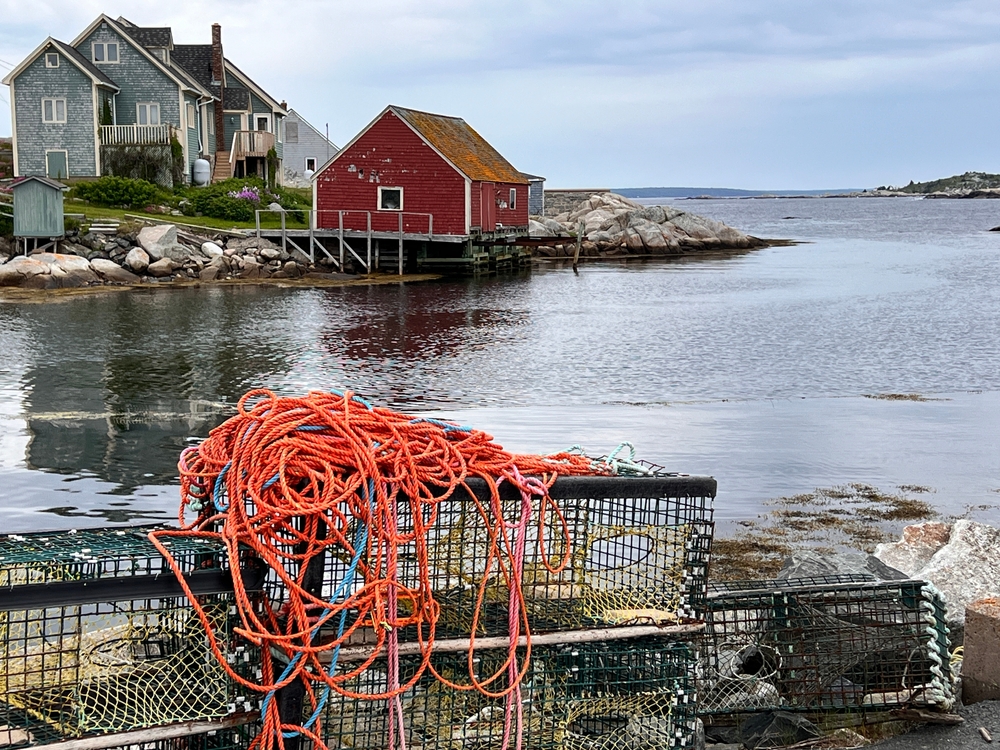 N.S. Lobster Exports Outside China are Picking Up as Tariffs Soften Demand
