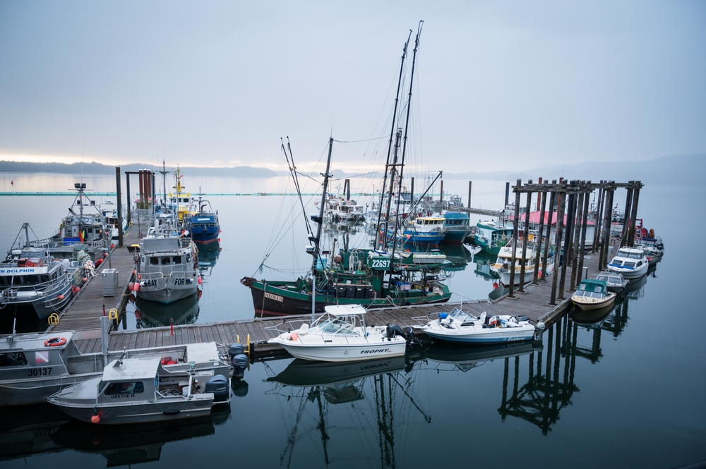 Federal Minister Urged to Restrict Fishing Licenses in B.C. to Active Fishers