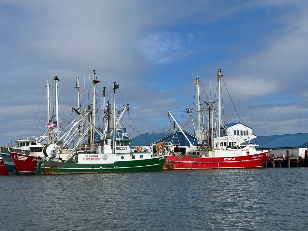 OPINION: Consumers Hold the Future of North Carolinas Shrimping Industry