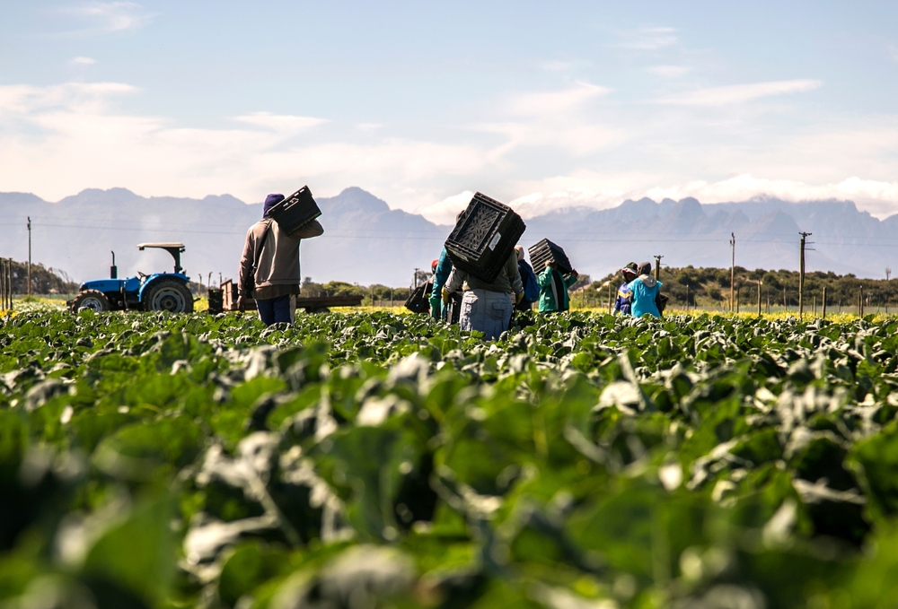 South African Minister Meets US Representative in Push for Trade Deal