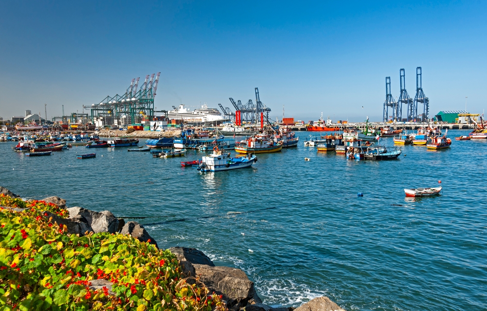 Chiles Joint Committee to Review Financing Formulas Amid Calls to Reopen Debate Over Hake Quota