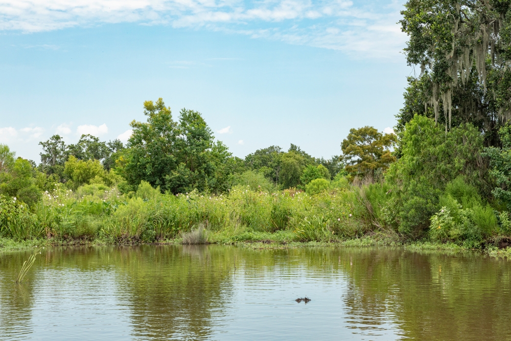 A Massive Coastal Restoration Project Is in Peril Amid Claims Louisiana Concealed a Critical Report