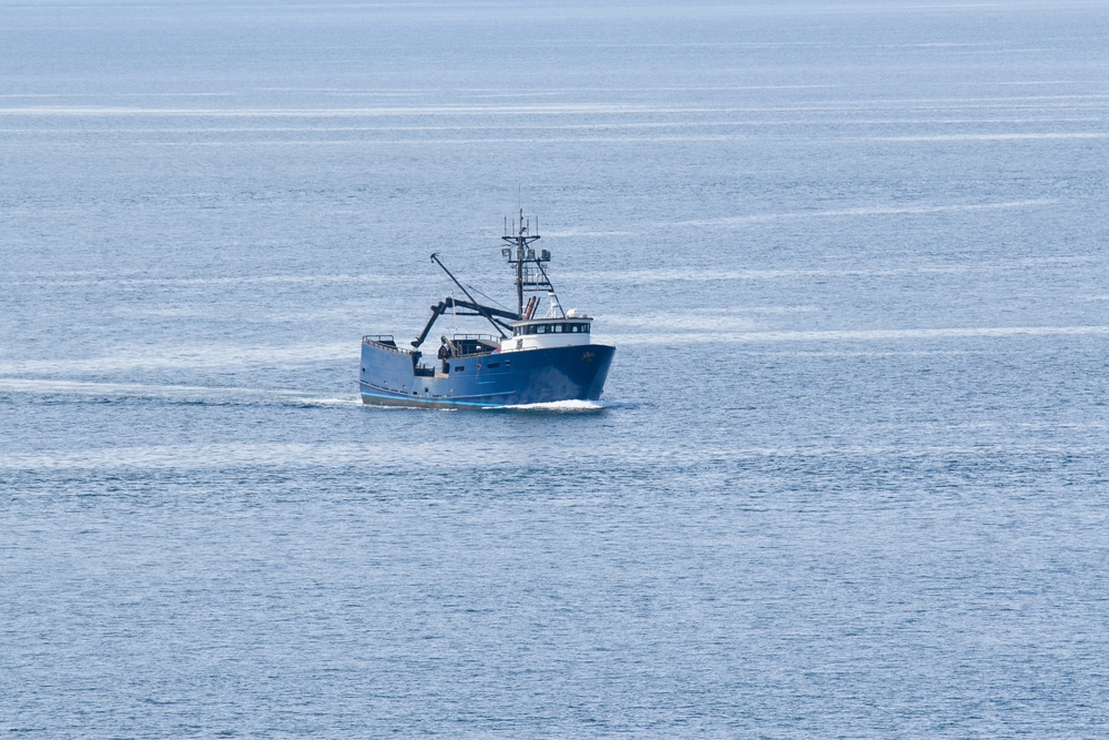 Council Adopts “Housekeeping” Version of Pelagic Trawl Definition for Bering Sea and Gulf of Alaska