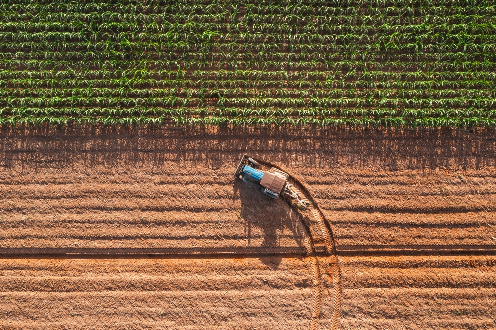 For the World’s Food Supply, Federal Funding Cuts Have Long-Term Impacts