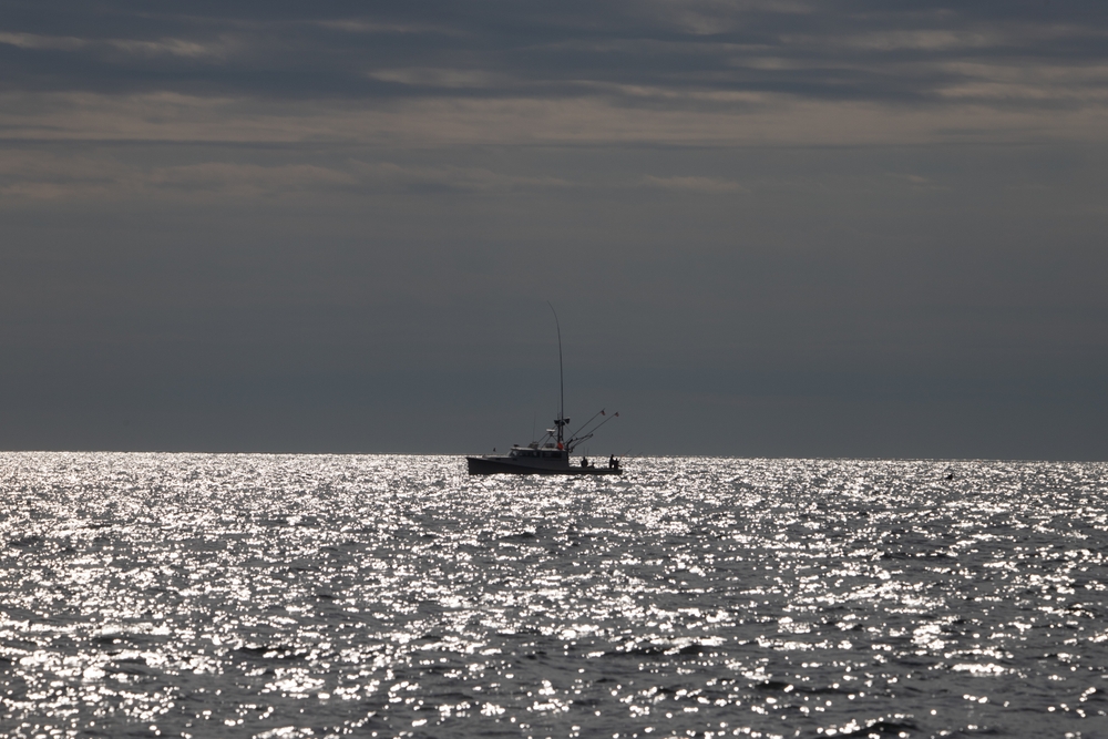 Dozens of Fishermen Have Applied for a Rare Chance to Catch Maine Shrimp