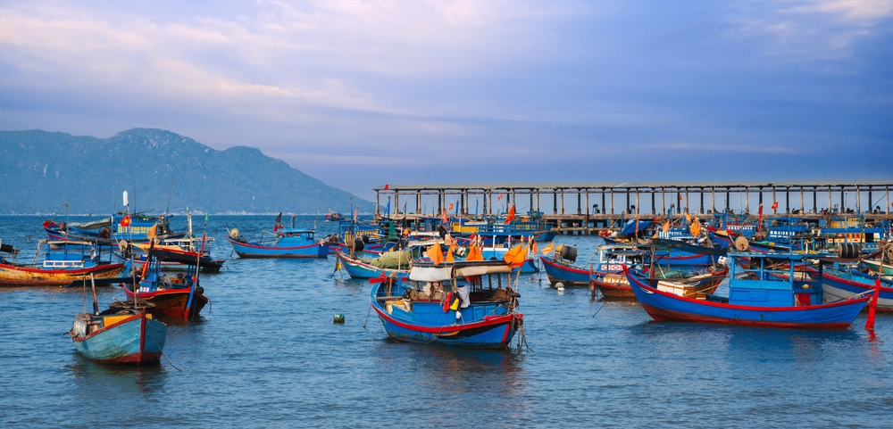 Vung Tau Fisheries Initiative Pioneers Sustainable Fight Against IUU Fishing