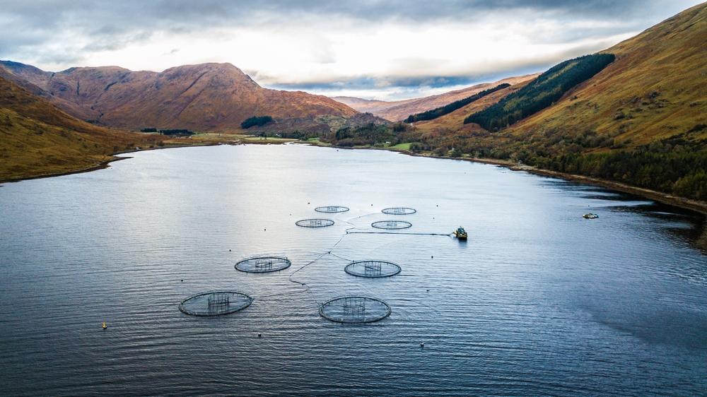 UK-India Trade Deal Opens Door for Scottish Salmon Exports